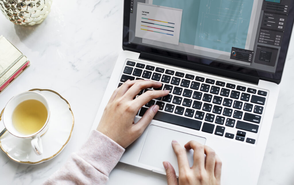 Qué es el hosting, el dominio y WordPress