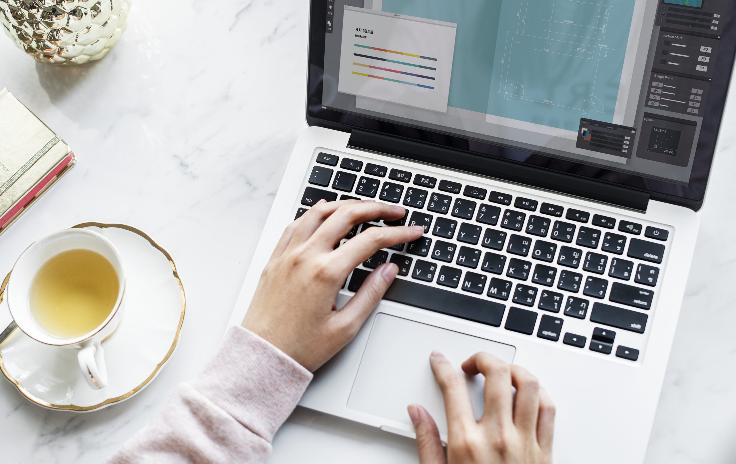 Qué es el hosting, el dominio y WordPress